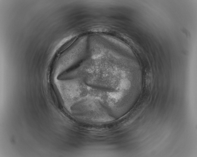 X0000113590727200910091459