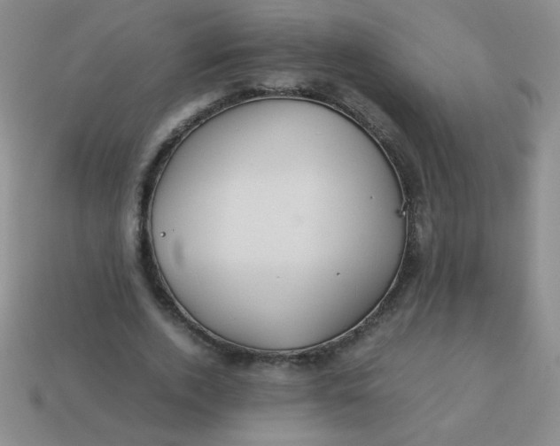 X0000113590728200910091459