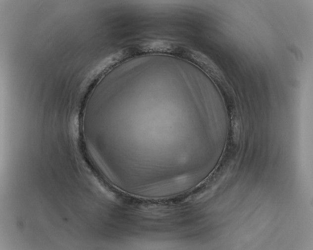 X0000113590729200910091459