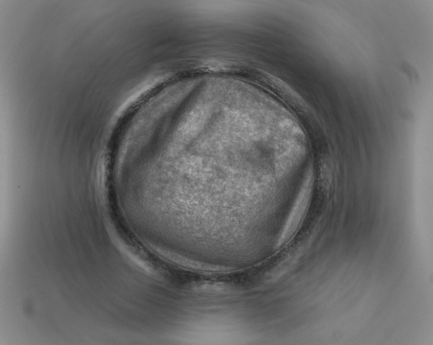 X0000113590730200910091459