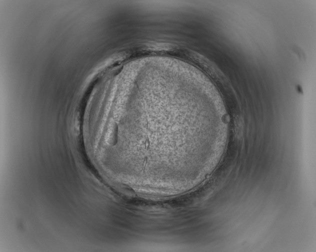 X0000113590731200910091459