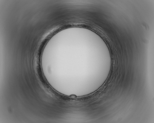 X0000113590732200910091459