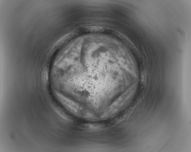 X0000113590733200910091459