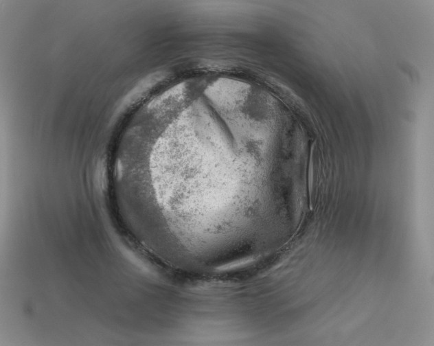 X0000113590734200910091459