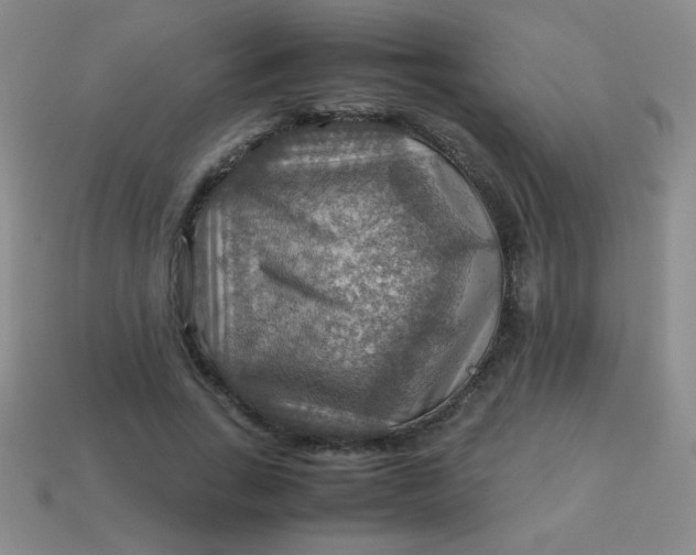 X0000113590735200910091459