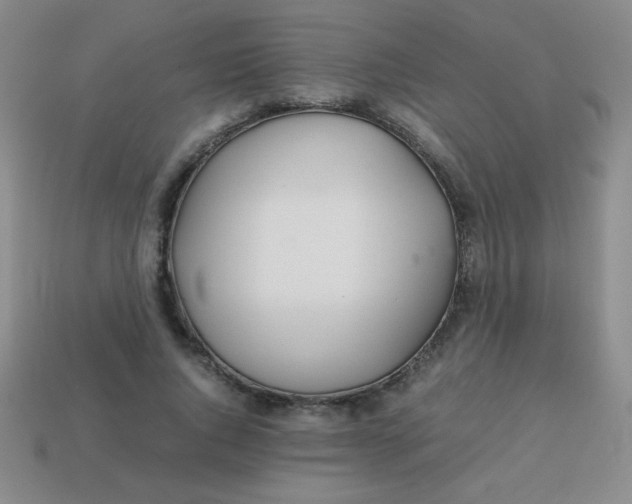 X0000113590736200910091459