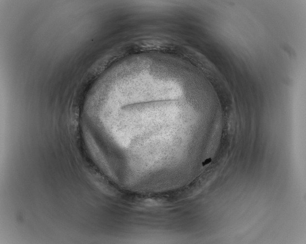 X0000113590737200910091459