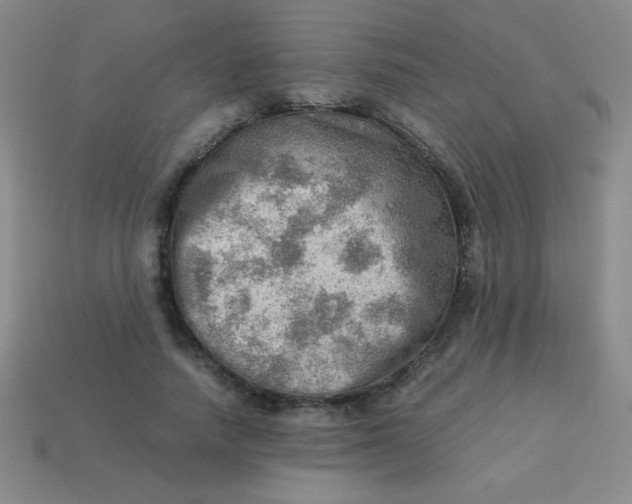 X0000113590738200910091459