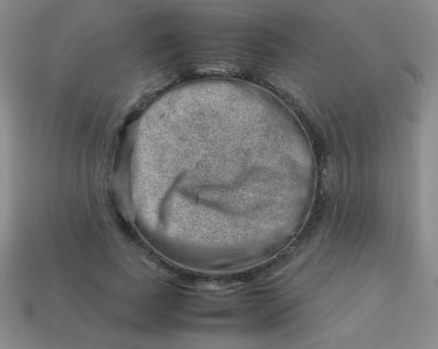 X0000113590739200910091459