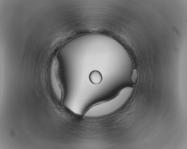 X0000113590740200910091459