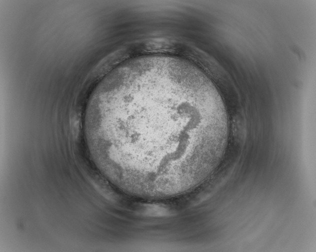 X0000113590741200910091459