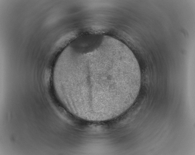 X0000113590742200910091459