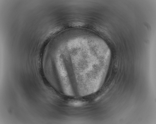 X0000113590743200910091459