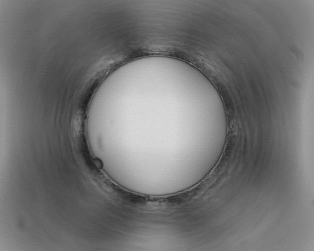 X0000113590744200910091459