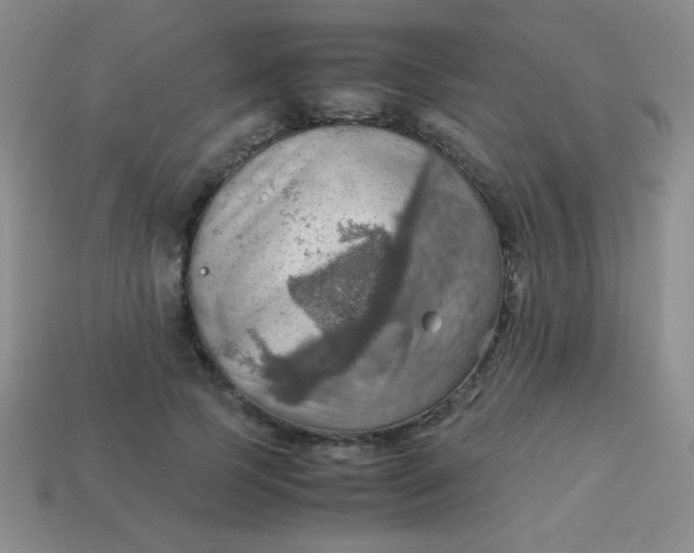 X0000113590745200910091459