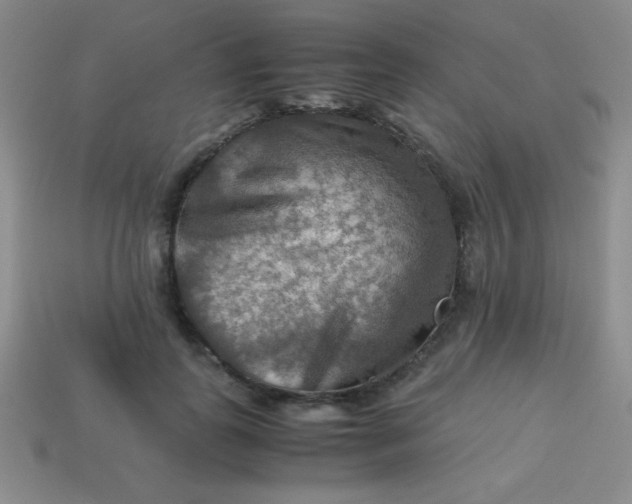 X0000113590747200910091459