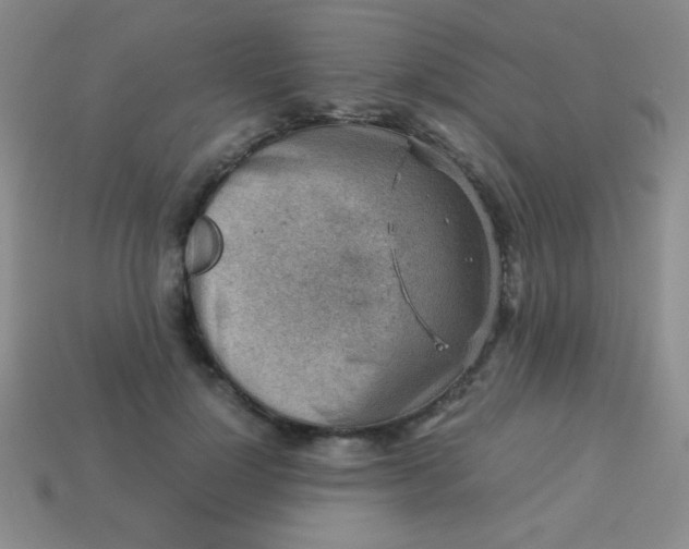 X0000113590748200910091459