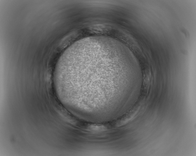 X0000113590749200910091459