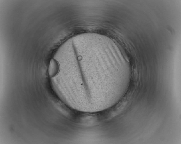 X0000113590750200910091459