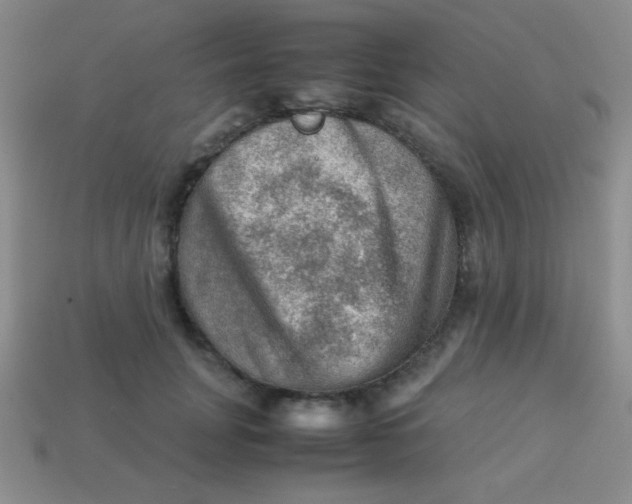 X0000113590751200910091459