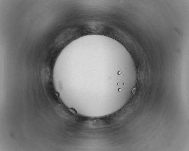 X0000113590752200910091459