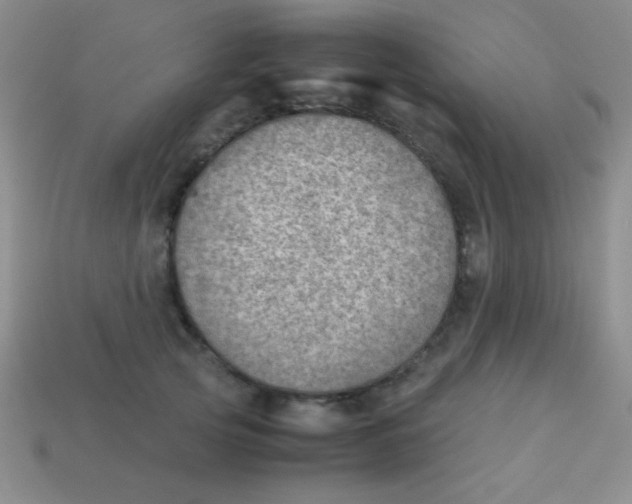 X0000113590753200910091459