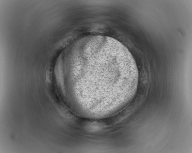 X0000113590755200910091459