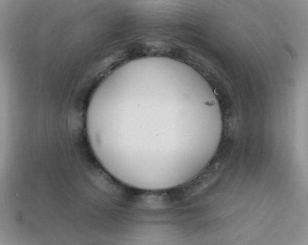 X0000113590756200910091459