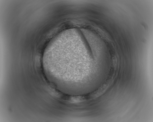 X0000113590757200910091459