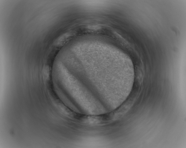 X0000113590758200910091459