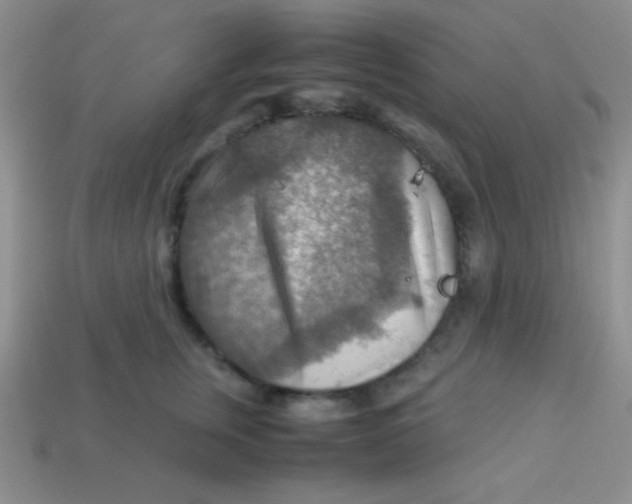 X0000113590759200910091459