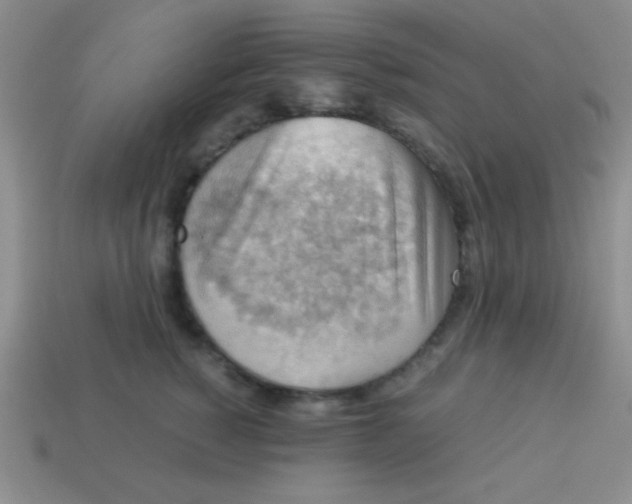 X0000113590760200910091459