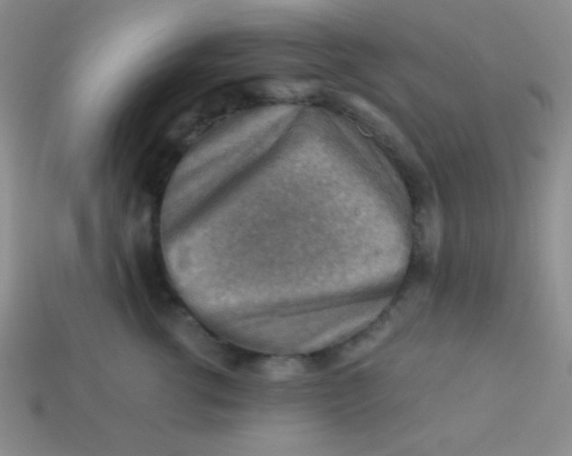 X0000113590762200910091459