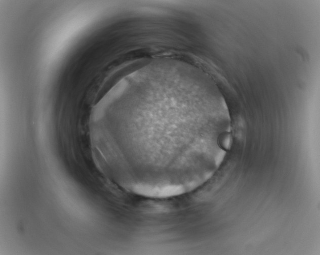 X0000113590763200910091459