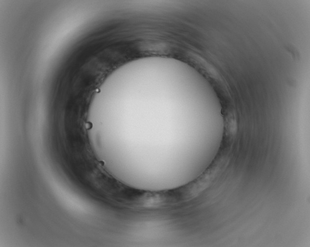 X0000113590764200910091459