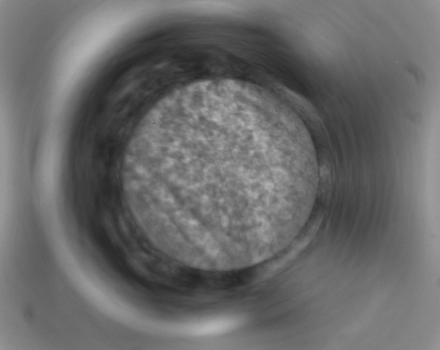 X0000113590765200910091459