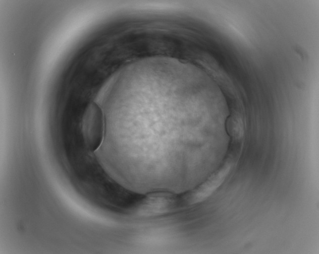 X0000113590766200910091459