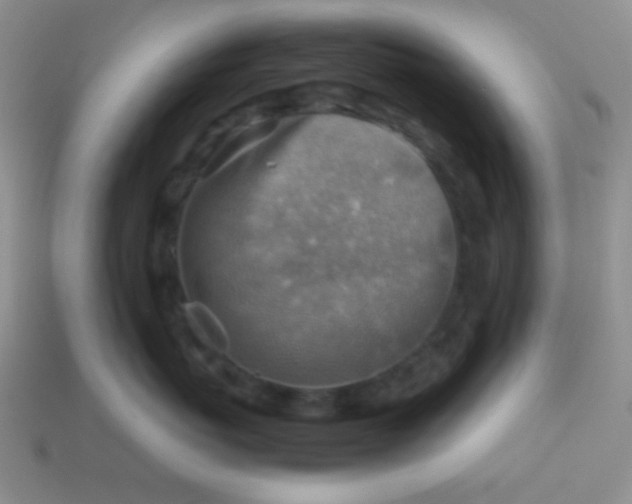 X0000113590767200910091459