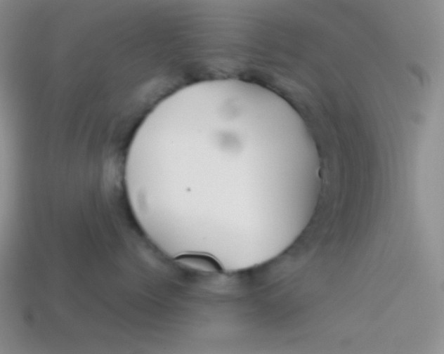 X0000113590768200910091459