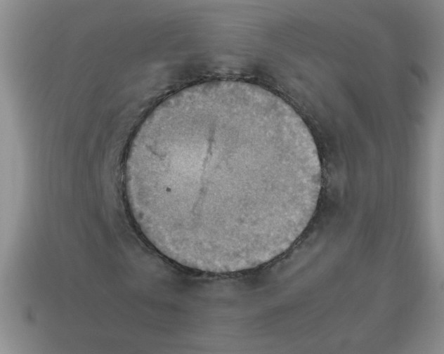 X0000113590769200910091459