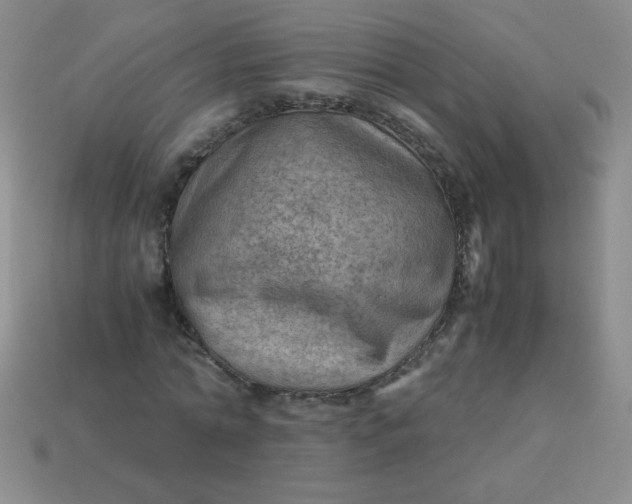 X0000113590774200910091459