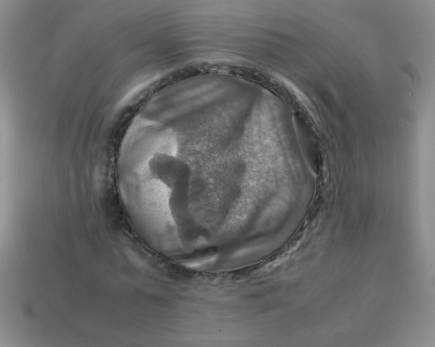 X0000113590775200910091458