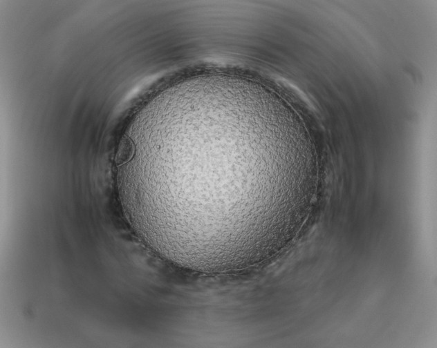 X0000113590776200910091458