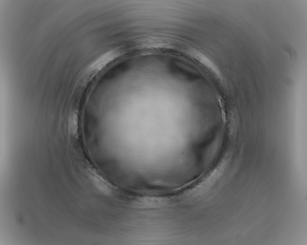 X0000113590777200910091458