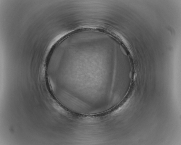 X0000113590779200910091458