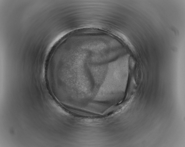 X0000113590780200910091458