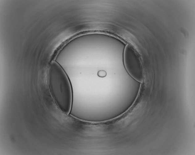 X0000113590781200910091458