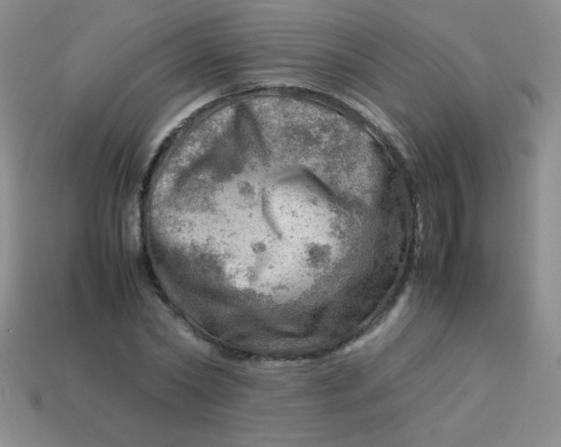 X0000113590782200910091458