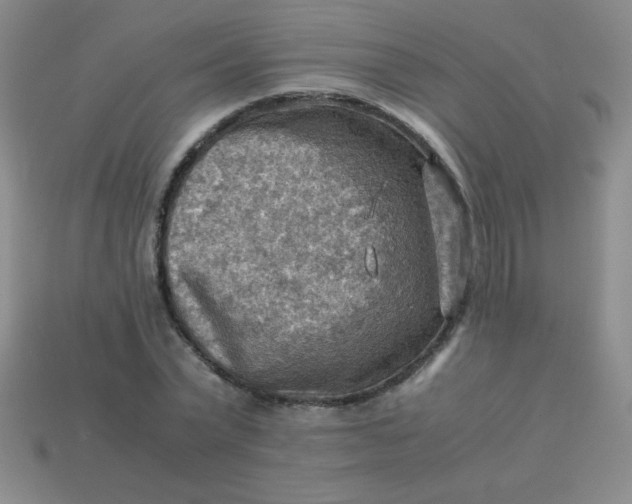 X0000113590783200910091458