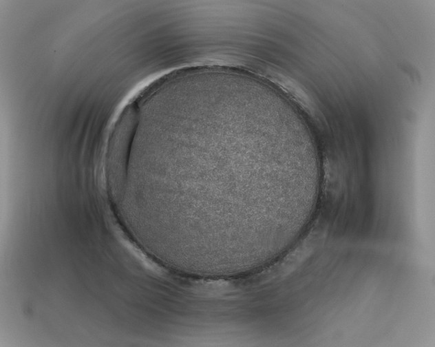 X0000113590784200910091458